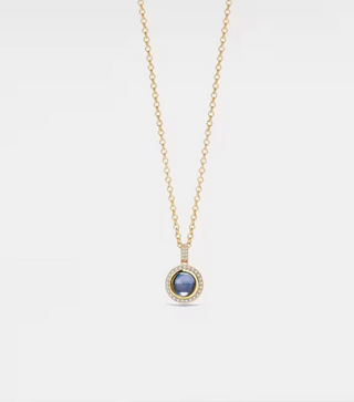 collar con foto dentri