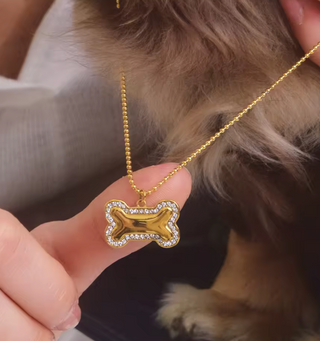 collar hueso