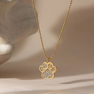 collar huella perro